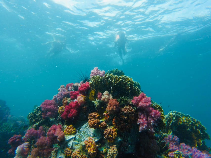 Koh Lipe: 7 Island Snorkeling Trip by Longtail Boat w/ Lunch - Lunch and monkeys at Monkey Beach
