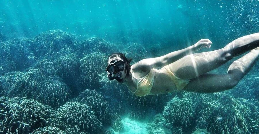 Koh Lipe: Full Day Multi-Island Snorkeling Trip with Lunch - Koh Phueng offers another chance to see reef fish