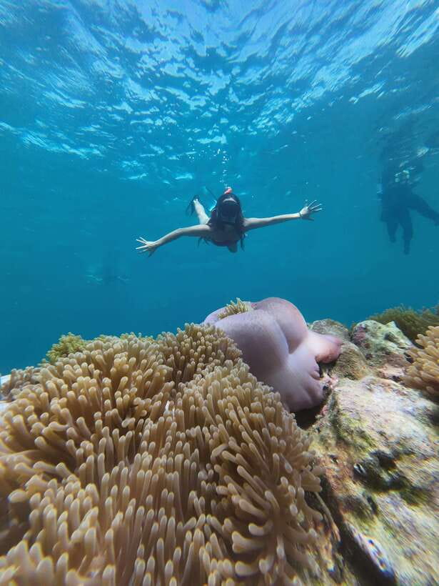 Koh Lipe: Half-Day Snorkelling Trip To 4 Islands 5 Points - The reef behind Hin Ngam