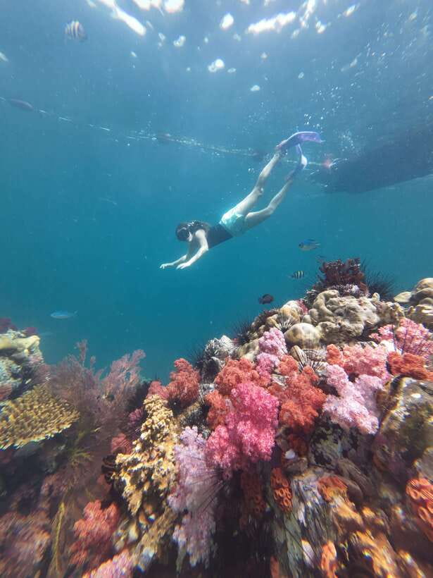 Koh Lipe: Half-Day Snorkelling Trip To 4 Islands 5 Points - Adang Island finishes with more coral and fish