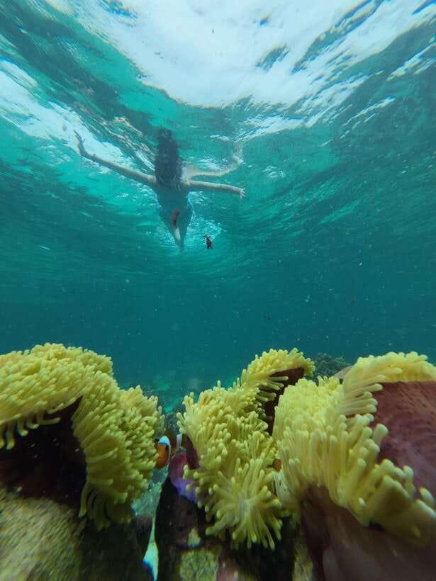 Koh Lipe: Half-Day Snorkelling Trip To 4 Islands 5 Points - What the $20 price really includes