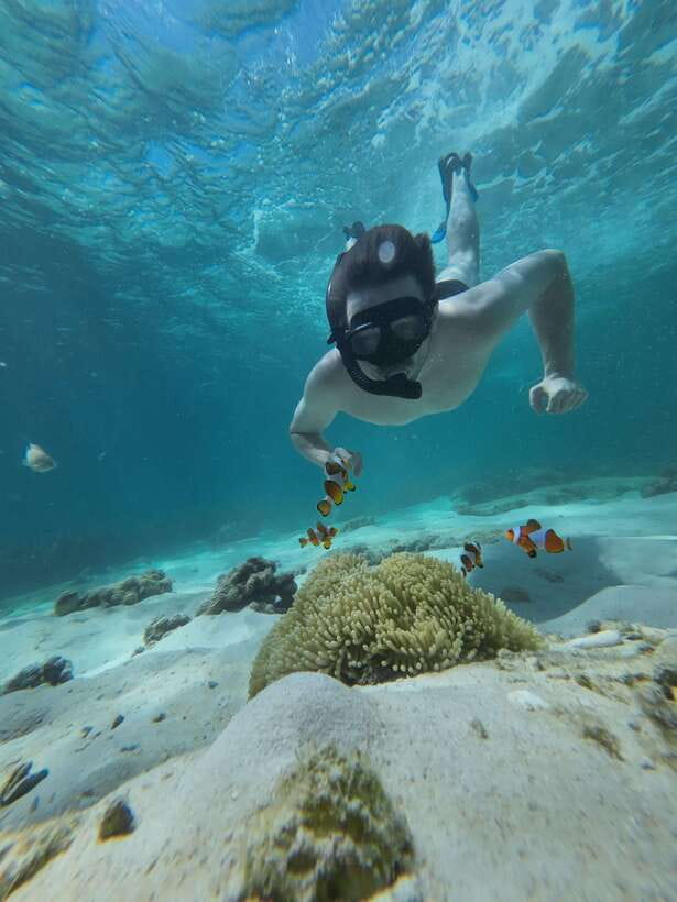 Koh Lipe: Half-Day Snorkelling Trip To 4 Islands 5 Points - Practical limits and conflicting information