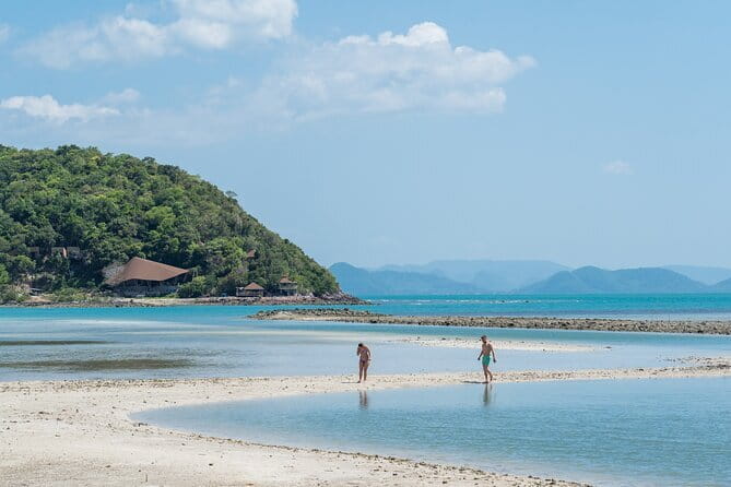 Koh Samui: Island Hopping Adventure in Coral and Pig Island - Quick reasons to consider this island day
