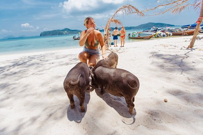 Koh Samui: Island Hopping Adventure in Coral and Pig Island - Is $57 a fair price?