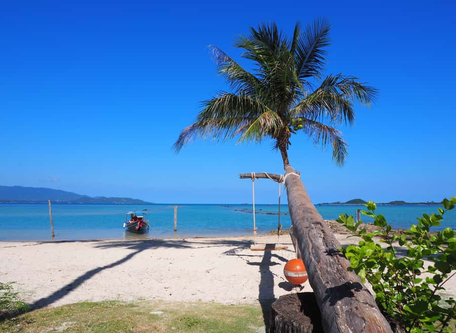 Koh Samui: Private Island Hopping Boat Tour - Koh Tan: marine life, mangroves, and uneven upkeep