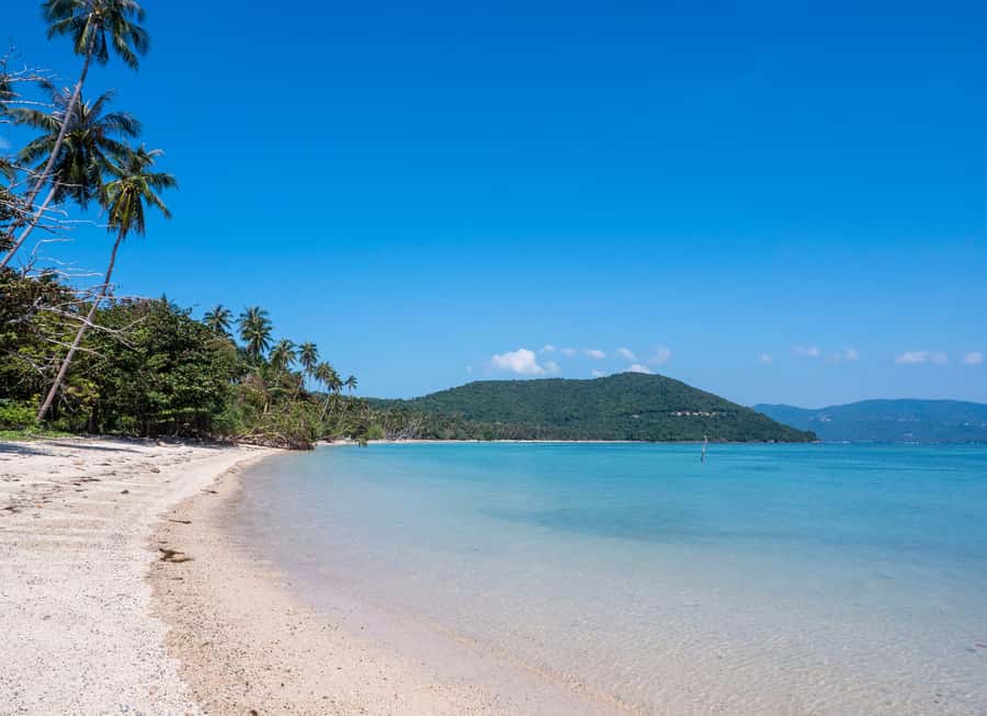 Koh Samui: Private Island Hopping Boat Tour - Booking details that affect your day