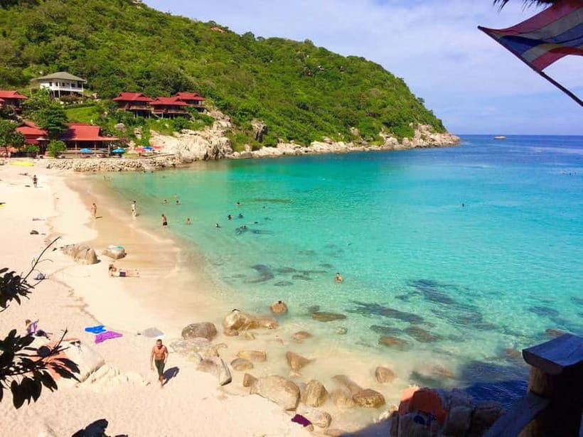 Koh Tao: Underwater Gems, Island Hopping & Snorkel Adventure - How the tour handles families and first-time snorkelers
