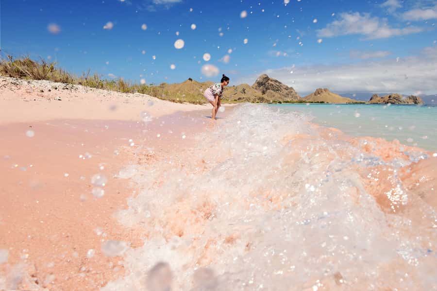 Komodo Island: Komodo Dragons & Islands Day Tour - Why this Komodo day trip packs so much into 10 hours