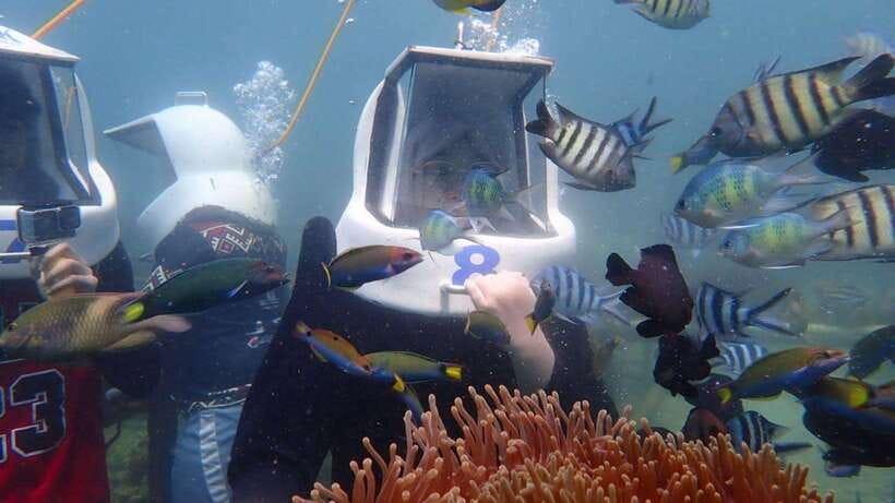 Kota Kinabalu: Snorkeling & Island Hopping Sapi & Manukan - Boat rides and the value of the $67 price