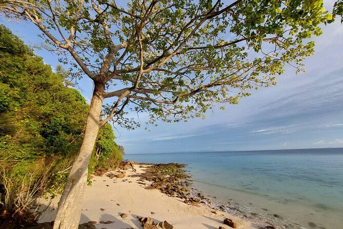Krabi 7 Islands Sunset Tour with Bioluminescent Plankton + BBQ - Who will get the most from this tour