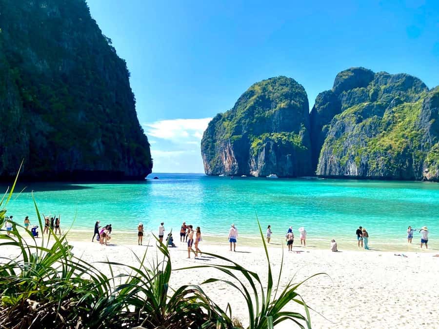 Krabi: Phi Phi & 4 Islands Sunset Tour by Speedboat - Monkey Beach comes with a warning
