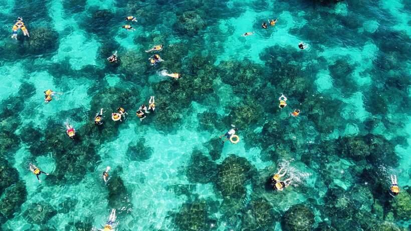 Krabi: Phi Phi and 4 Islands with Snorkeling by Speed Boat - Snorkeling depends on sea and weather