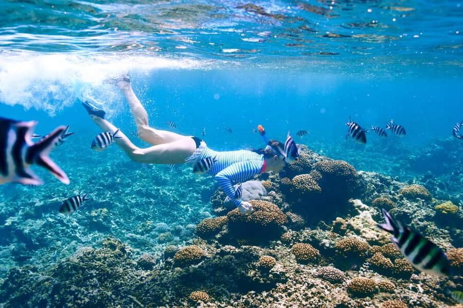 Krabi: Premium Phi Phi Islands Day Trip with Lunch & Snorkel - Why this Phi Phi trip appeals to first-time visitors