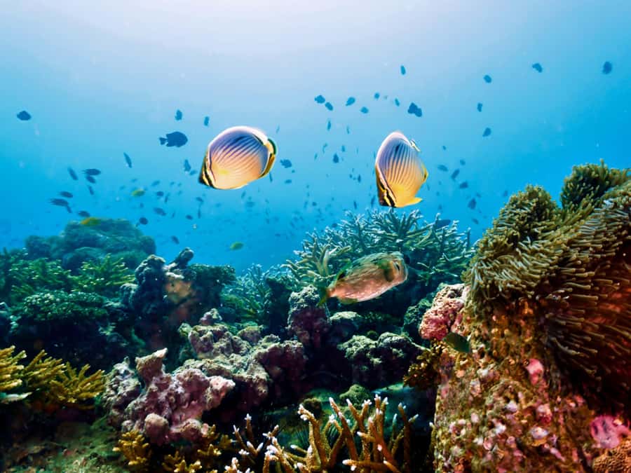 Krabi: Private 4 Islands Snorkeling Tour with Long-Tail Boat - A Few Practical Weak Spots