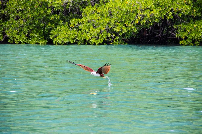 Langkawi Half Day Island Hoping Tour- Sharing basis - The guide and the quality of the day