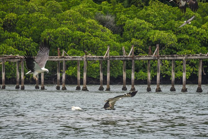 Langkawi Half Day Island Hoping Tour- Sharing basis - Who should book this island tour?