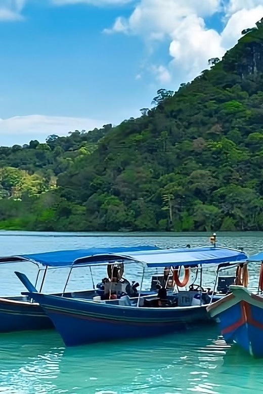 Langkawi: Island Hopping Shared or Private Boat Options - Eagle feeding at Pulau Singa Besar
