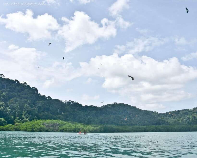 Langkawi: Island Hopping Tour - Who should book this tour