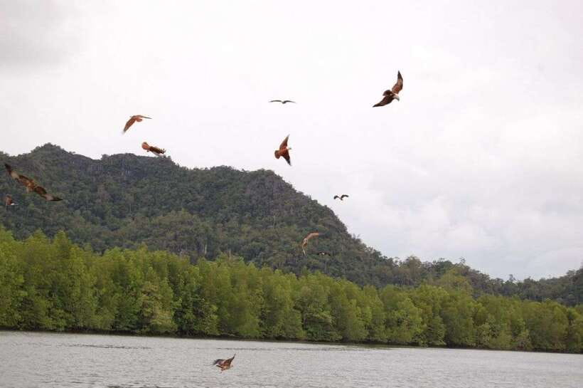 Langkawi: Island Hopping Tour - What the $30 price really covers
