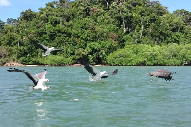 Langkawi Island Hopping Tour with Private Boat & Pickup - Is $151.30 Per Person Good Value?