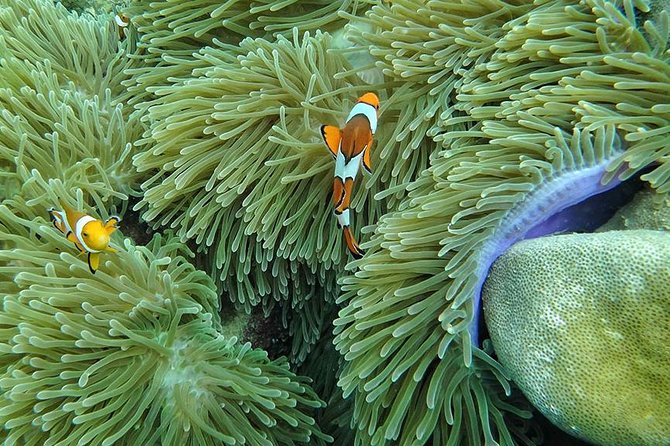 Lanta 4 Islands + Emerald Cave Snorkeling Tour - Practical ways to make the day better