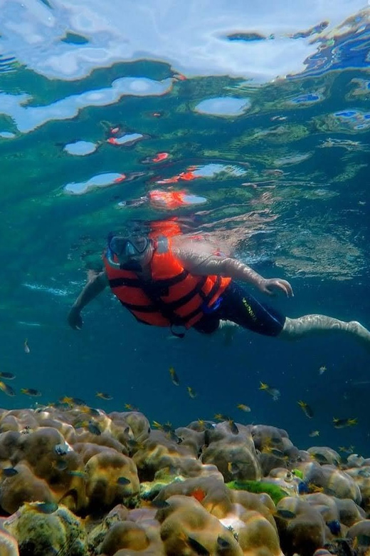 Lanta's Hidden Gems: 4 Islands by Traditional Longtail Boat - Koh Chueak: clear water, modest reef life
