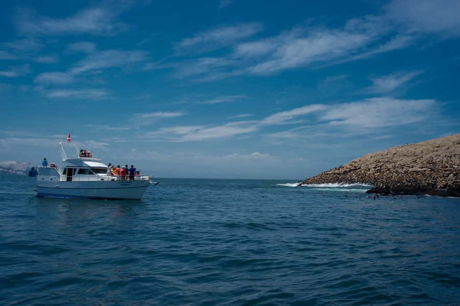 Lima: Sea Lion Swim and Wildlife Palomino Islands Cruise - San Lorenzo Island, Peru’s largest island