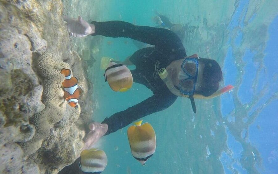 Lombok: Gili Nanggu, Tangkong, Sudak, and Kedis Islands Tour - Who will enjoy this Lombok island tour?