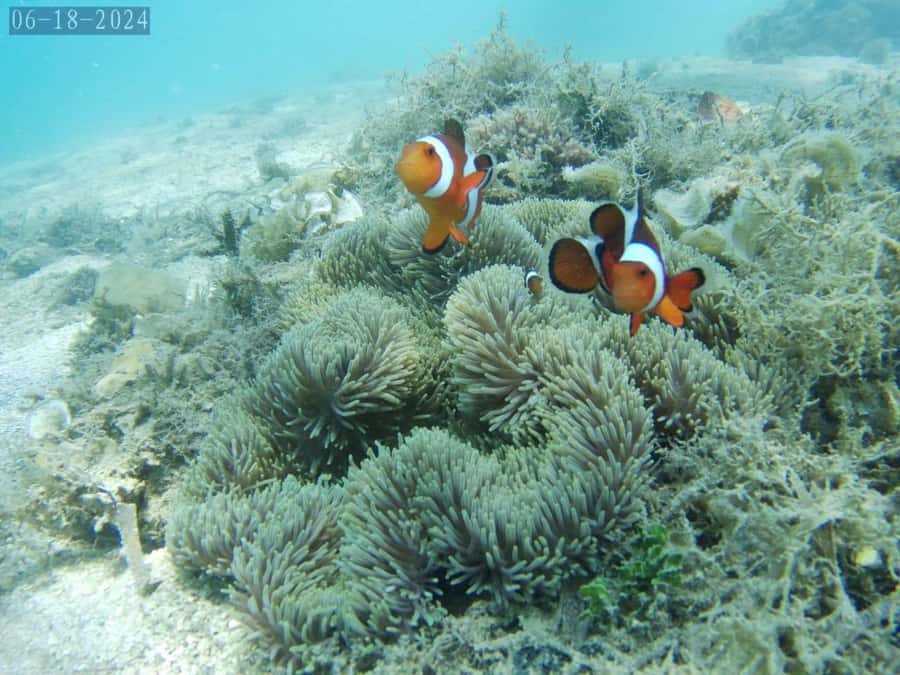 Lombok: Gili Nanggu, Tangkong, Sudak, and Kedis Islands Tour - Gili Tangkong, the quietest island stop