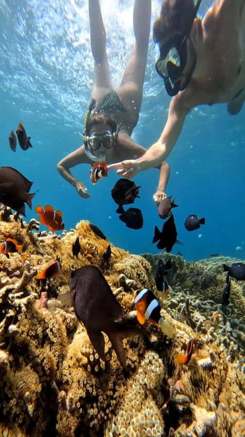 Lombok: Gili Nanggu, Tangkong, Sudak, and Kedis Islands Tour - Guides, comfort, and the private-group format