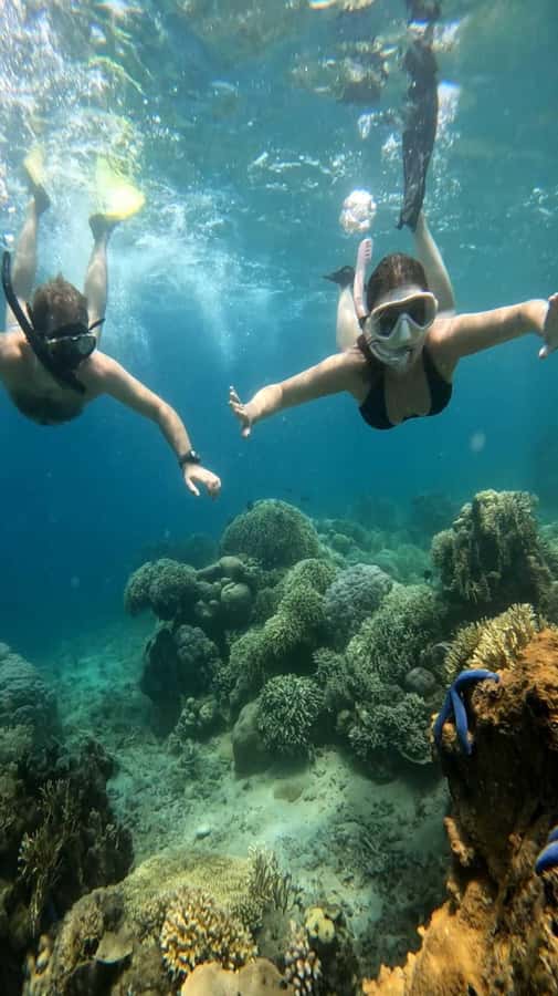Lombok: Gili Nanggu, Tangkong, Sudak, and Kedis Islands Tour - What to pack for a day between the islands