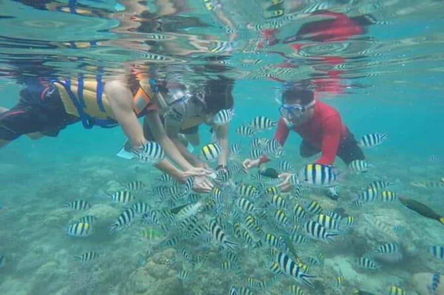 Lombok: Gili Nanggu, Tangkong, Sudak, and Kedis Islands Tour - Taun Harbour and the ride to Gili Nanggu