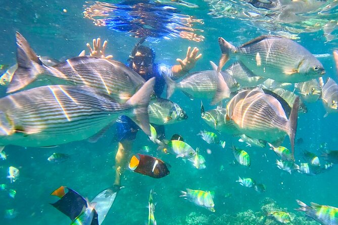Los Arcos 5 islands Snorkeling Cliff Jumping and Hidden Beach - Why Los Arcos makes a good half-day outing