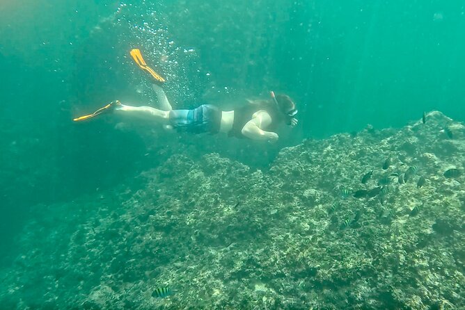 Los Arcos Snorkeling & 5 Island Adventure - Mismaloya Beach is the real after-tour bonus