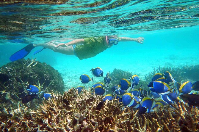Maafushi: Full Day Snorkeling and Island Hopping Experience - Key points to know before booking