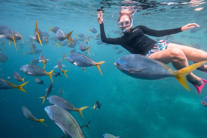 Maafushi: Full Day Snorkeling and Island Hopping Experience - Is $90 a fair price for a six-hour trip?