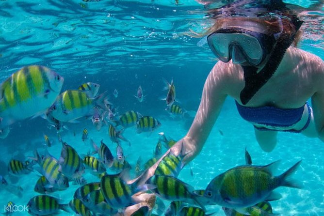 Mactan Cebu Island Hopping with Lunch - Gilutungan, Caohagan, Nalusuan - Caohagan Island gives you the clearest beach time
