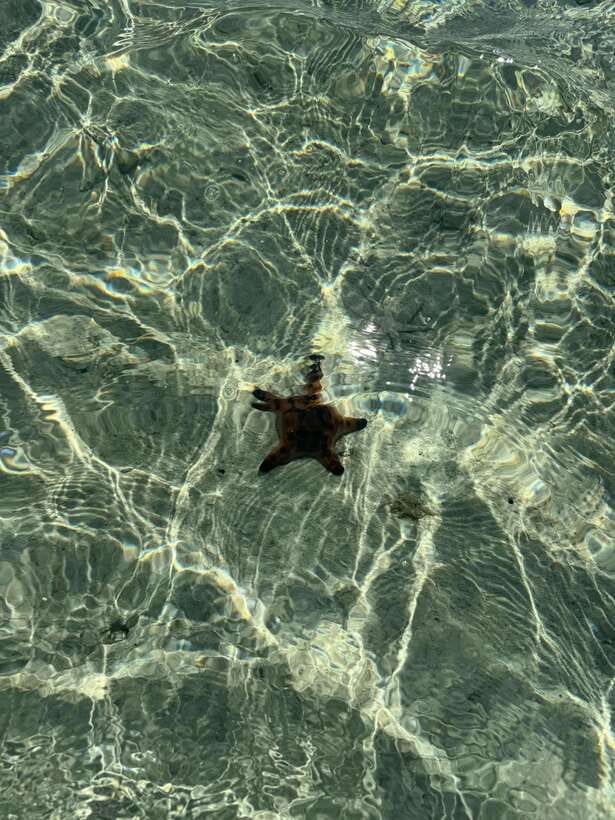 Mactan Island Hopping Gilutungan, Caohagan, Nalusuan + Lunch - Who will enjoy this island day