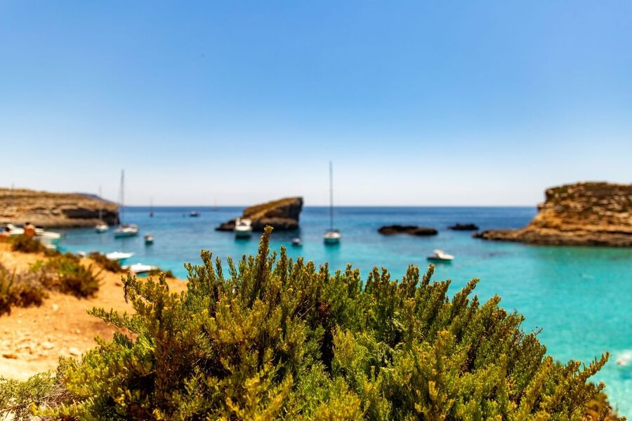 Malta: Blue Lagoon, Comino & St Paul's Islands Cruise - Key points to know before booking