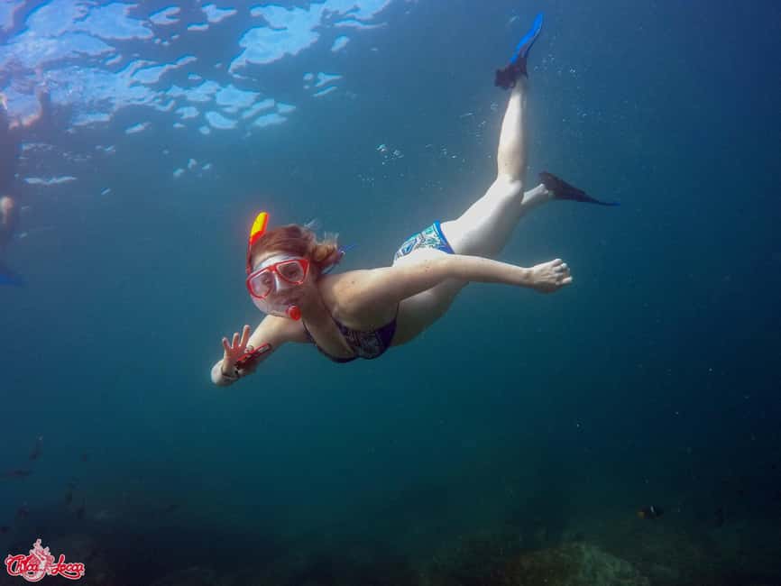 Marietas Islands Boat Tour: Snorkel, Kayak, Playa Nopalera - Practical details that affect your day