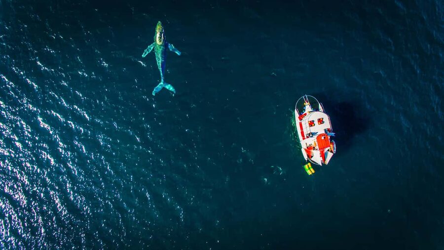 Marietas Islands Boat Tour: Snorkel, Kayak, Playa Nopalera - Setting out across Banderas Bay
