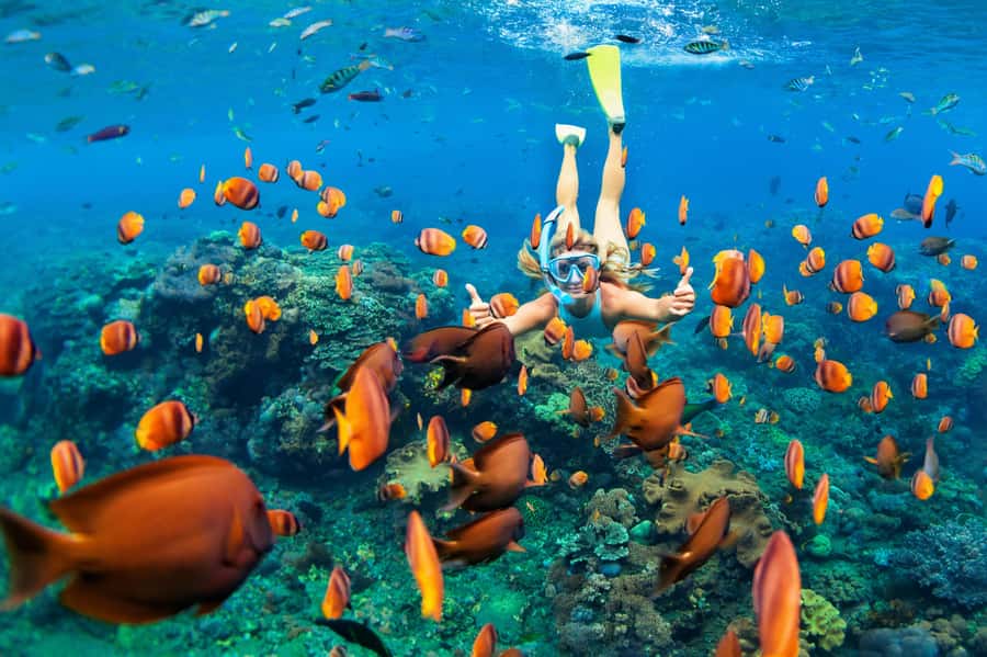 Mauritius: 5 East Coast Islands Tour with Snorkeling & Lunch - Key points to know before you go