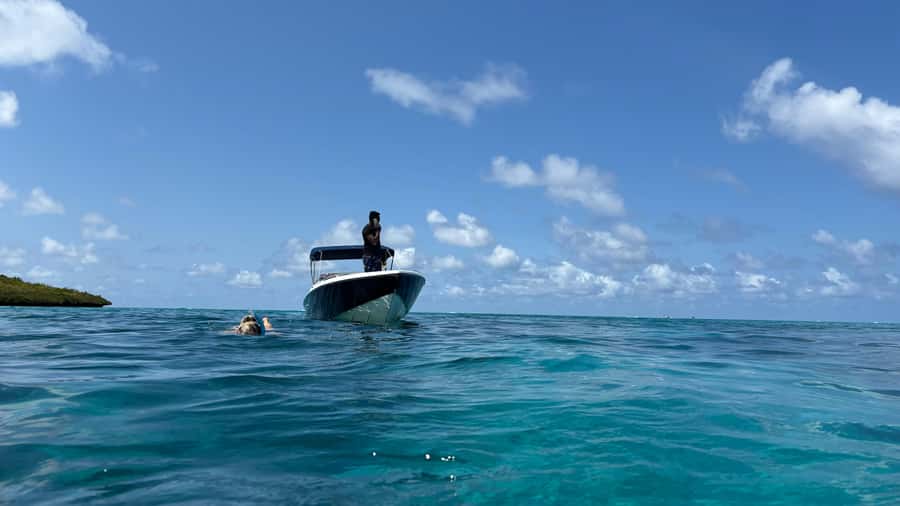 Mauritius 5 Islands Hopping Tours - PRIVATE BOAT - Monkeys at Grand River South East