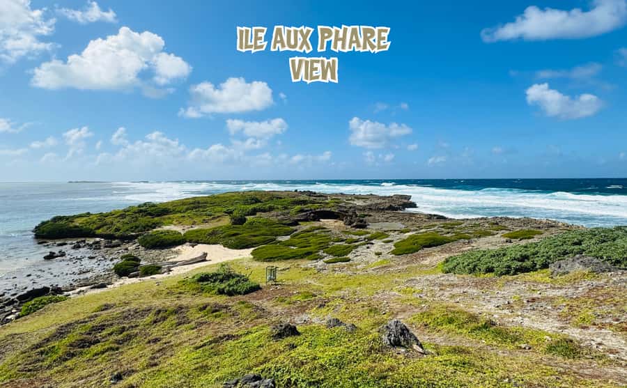 Mauritius: 5 Islands of the East Speedboat Tour with BBQ - Coral water near Île aux Aigrettes