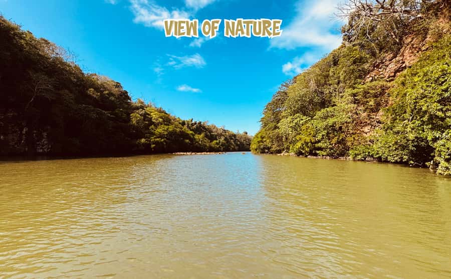 Mauritius: 5 Islands of the East Speedboat Tour with BBQ - Île aux Cerfs and the final beach hour