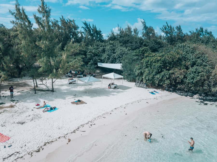 Mauritius: Private 5 Island Tour with Ile aux Cerfs - Swimming at Île aux Aigrettes