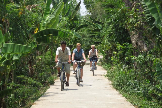 Mekong Delta 4 Islands, TukTuk, Boat, Try Khot Cake Local Cooking - Traditional music closes the cultural side of the visit