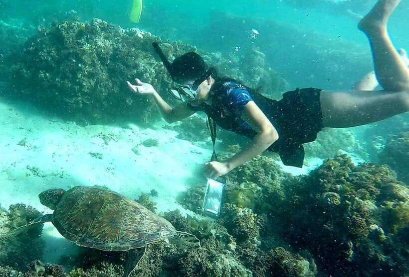Moalboal: Pescador Island Hopping Adventure and Sardine Run - The sardine run near Moalboal