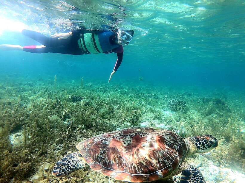 Moalboal: Sardine Run, Turtles and Pescador Island Hopping - Lunch and the short break in Moalboal