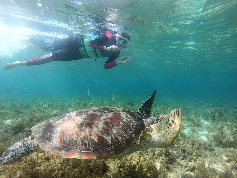 Moalboal: Sardine Run, Turtles and Pescador Island Hopping - The early pickup and long road to the coast